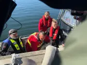 Bergung von Buckelwal in Ostsee gestartet: Helfer am Werk