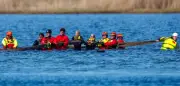 Bergungsversuch des Wals in der Ostsee hat begonnen