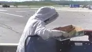 Bienen-Alarm am Flughafen Baltimore: 20.000 Insekten besetzen Rollfeld