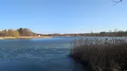 Botanische Exkursion am Reitbahnsee in Neubrandenburg