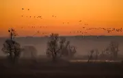 Brandenburg wirbt mit Natur und kreativen Orten für Tourismus