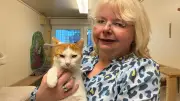 Bürgerpreis-Nominierung für hallesche Katzenschützerin: 20 Jahre Einsatz für Straßenkatzen