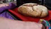Brotgenuss und Wissenschaft: Experte spricht in Gatersleben über gesunden Weizen
