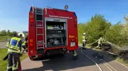 Böschungsbrand an der A36: Feuerwehren aus Aschersleben und Schierstedt im Einsatz