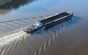 Buckelwal vor Poel: Abtransport per Lastkahn diese Woche geplant