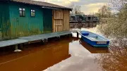 Burgunderblutalge färbt Seenplatte rot-braun: Landkreis warnt vor Wasserkontakt