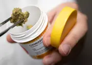 Cannabis gegen Schmerzen: Private Kasse muss zahlen