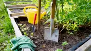 Clever gärtnern: Der perfekte Zeitpunkt für die Bepflanzung im Hochbeet