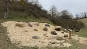 DDR-Naturlehrpfad am Tollensesee wird mit Findlingsgarten revitalisiert