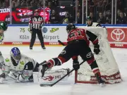 DEL-Playoffs: Köln gleicht gegen Berlin aus - Mannheim führt 2:0 gegen München