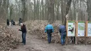 Demmin ruft zum Frühjahrsputz: Gemeinsam gegen Müll und Winterdreck in der Stadt