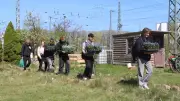 Demminer Schüler pflanzen Vergissmeinnicht als Zeichen der Hoffnung