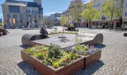Dessauer Gartenträume-Lounge: Buntes Programm auf dem Marktplatz
