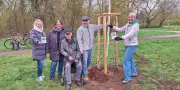 Dessauer Initiative sucht Baumpaten für städtische Aufforstung - Ehepaar pflanzt erste Eiche im Schillerpark