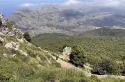 Deutscher Wanderer stürzt auf Mallorca in den Tod: Tragödie nahe Valldemossa