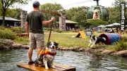 Deutschlands erster Hundefreizeitpark: Seilbahn, Hallenbad und Wasserrutschen geplant