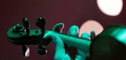 Dirigent schlägt Violinistin 1-Million-Euro-Geige aus der Hand