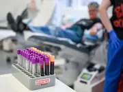 DRK bietet zusätzliche Blutspende-Termine am Karsamstag in Brandenburg und Berlin an