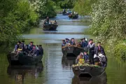 Dutzende Torfkähne auf historischer Fahrt nach Bremen
