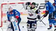 Eisbären Berlin: 5:1-Sieg in Mannheim, 3 Matchbälle zur Meisterschaft