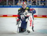 Eisbären Berlin verpassen Halbfinaleinzug: Straubing Tigers siegen im fünften DEL-Viertelfinale