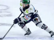Eisbären Berlin ziehen ins DEL-Finale ein: Titel-Hattrick in Reichweite
