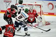 Eisbären-Coach Aubin trotz Niederlage stolz auf sein Team nach packendem Halbfinale