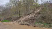 Erdrutsch in Burg Stargard: Straße durch Schlamm und Bäume blockiert - Feuerwehr sucht Ursache