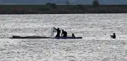 Ethikrat: Buckelwal-Rettung in Ostsee gibt Menschen Handlungsfähigkeit zurück