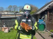 Feuerwehr rettet Hühner bei Brand in Celler Schrebergartenkolonie