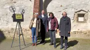 Filmclub der Cranach-Stiftung: Seit 1982 besondere Filme abseits des Mainstreams