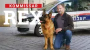 Filmhund-Trainerin erklärt: Was Hundehalter vom neuen Kommissar Rex lernen können