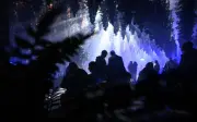 „Forest Seasons“: Berliner Lichtinstallation zeigt den Wandel des Waldes durch die Jahreszeiten