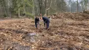 Forstamt Jasnitz lädt zur Pflanzaktion für klimastabilen Mischwald ein