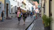 Freiburgs Bächle: Die romantischen Wasserkanäle als historisches Wahrzeichen
