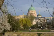 Frühlingserwachen in Berlin und Brandenburg: Milde Temperaturen und wenig Wind