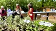 Frühlingserwachen in Wangelin: Saisonstart am 1. Mai
