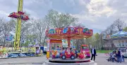 Frühlingsfest, Vogelwanderung und Trödelmarkt: Das bietet das Wochenende im Altkreis Bitterfeld