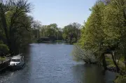 Frühlingshaftes Wetter in Berlin und Brandenburg: Frost in der Nacht, Sonne am Tag