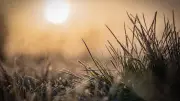 Frühlingsluft und Osterregen: So wird das Wetter in Sachsen-Anhalt bis Ostermontag