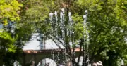 Frühlingssonne in Bayern: Bis zu 21 Grad am Wochenstart