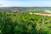 Frühlingswanderungen in Sachsen-Anhalt: Von Altmark bis Harz - die schönsten Routen