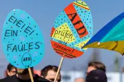 Friedliche Proteste gegen AfD in Cottbus: Eier-Aktion für Verfassungsprüfung