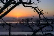 Frostiger Morgen, frühlingshafte Temperaturen: Wetter in Berlin und Brandenburg