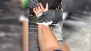 Fußball-Fanatismus auf der Haut: Riesiges Fan-Tattoo mit Spieler-Unterschrift wird zum Internet-Hit