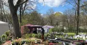 Gartenlust-Jubiläum: Zehnte Ausgabe der Gartenausstellung in den Schlössern Schleißheim
