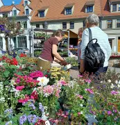 Gartenmarkt, Fackelumzug und Tanz in den Mai: Das ist am langen Wochenende los