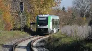 Gefährliche Eingriffe in den Bahnverkehr: S-Bahn-Kollision mit Baumstämmen in Merseburg