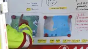Geheimplan für Wal Timmy: DLRG-Einsatz an Tag 28 enthüllt