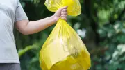 Gelbe Tonne vs. Gelber Sack: Der entscheidende Unterschied bei der Müllentsorgung